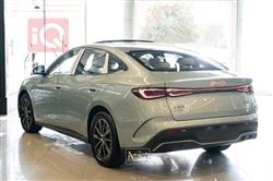 بي واي دي سيل 06 DM-i